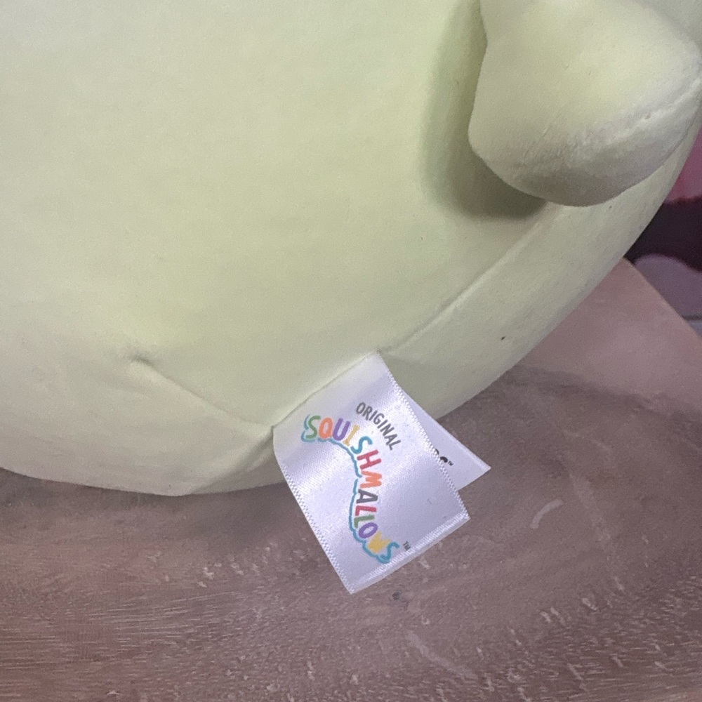 Squishmallows Green Bunny Carrot Juice 14" Stuffed Animal Plush  Easter - Picture 2 of 3